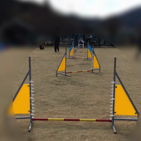 ハードル練習の画像