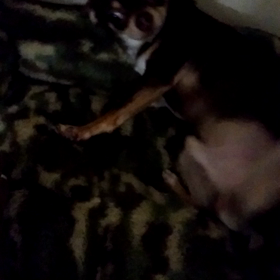 ソラくんの画像