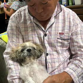 イチロー！の画像