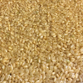 玄米ポップ╰(*´︶`*)╯の画像