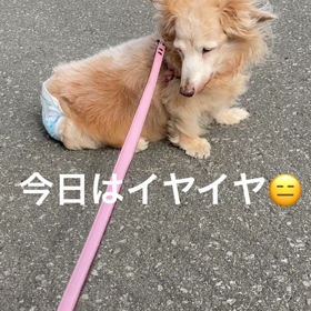 気乗りしない日の画像