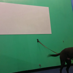 クリッカー初伝の画像