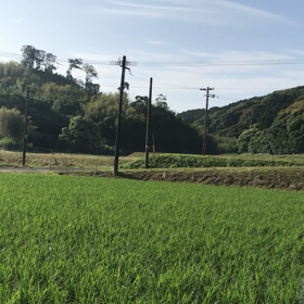 【お客様の声】家族が一番大切 心地いい毎日を送るために大切にしていることの画像