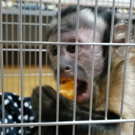 ハルくんって…の画像