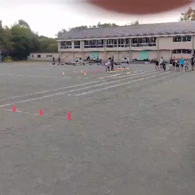 10月15日 ダッシュの場⑬の画像