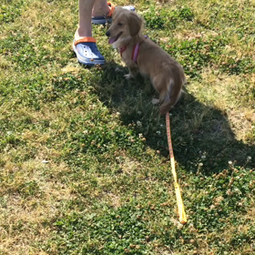 公園デビューの画像