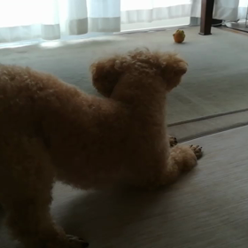 ご機嫌なひと。の画像