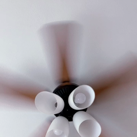 生声配信スタート(テスト)おはようございますの画像