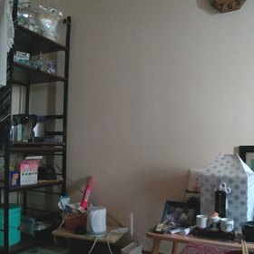 見える❓️の画像