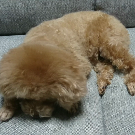 おいしい？の画像