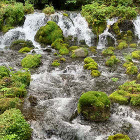 向き合うための8月の画像