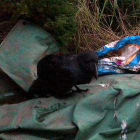 心配的中。の画像