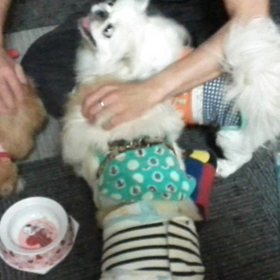 *不思議ちゃんの画像