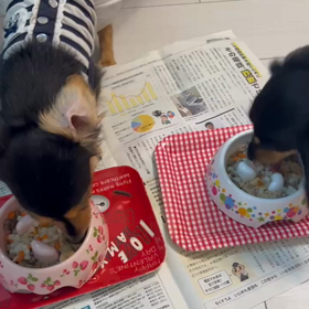 すずちゃん、1歳の誕生日の画像