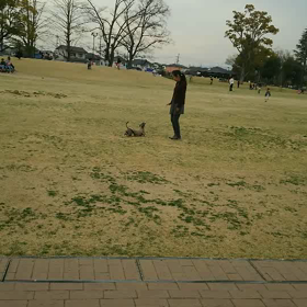 明日はどうなるかなの画像