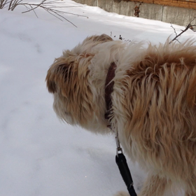 そろそろ終わりの画像