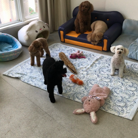 ♪プレイルーム動画♪①の画像