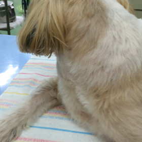 ☆ ８月１４日の面会 ☆の画像