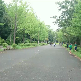 9月21日 100mCグループ(男子選考会)①の画像