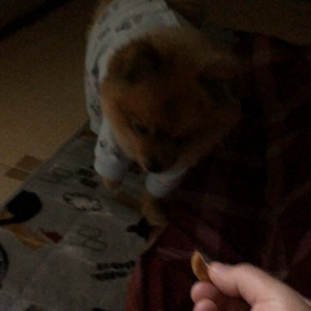 今年も入院からSTARTの画像