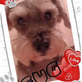 Let ’s  tａlkinｇ之巻 ヽ（￣￣∇￣￣）ノ ♪の画像