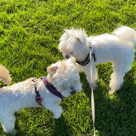 ユーチューバーの画像