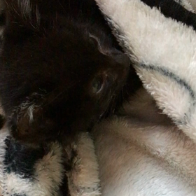 柊おはよう！の画像