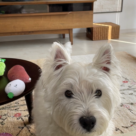 おやつちょーだいの画像