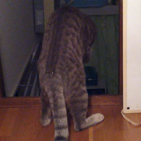 電池切れ…の画像