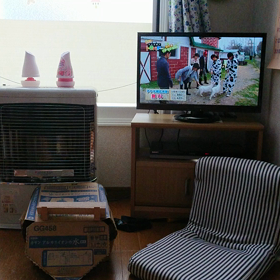 牛・ヤギ・羊・アルパカの画像