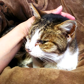 貝ちゃん…またねの画像