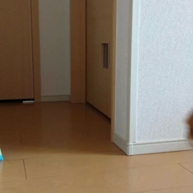 散歩？日向ぼっこ後？の画像