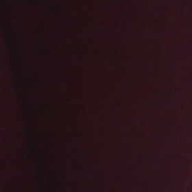 歓迎の舞だと嬉しいな♪の画像