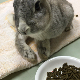 明日は6時までの画像