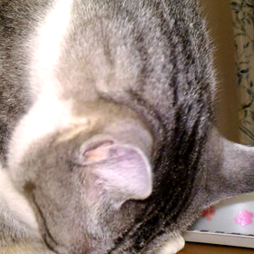 検査結果発表会！の画像