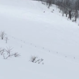 武者修行の画像