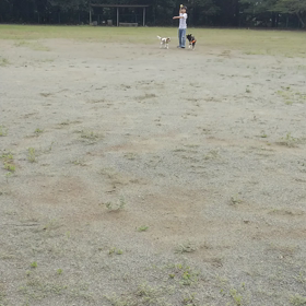 ボール遊び(^o^)丿の画像