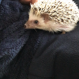 変わらぬ光景(´∀｀=)の画像