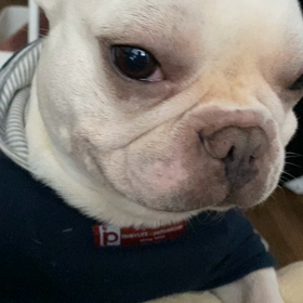 脳障害のはじめくんの画像