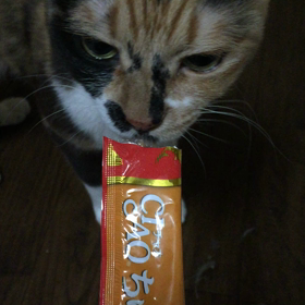 3回ユキ様には指を噛まれながらの画像