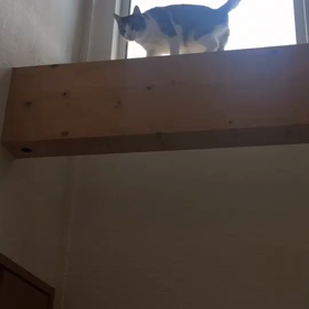 入院３日目の画像