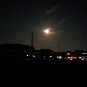 大きな栗の木の下で♪の画像