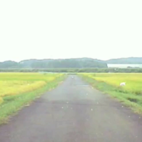 サギもソロソロ旅立ちかなの画像