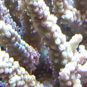 酔っ払って動画を編集してみた2の画像