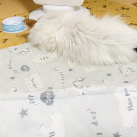 　のんびりな1日の画像