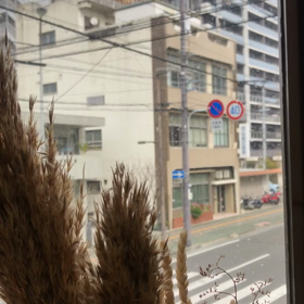 雪だーー！！⛄️の画像