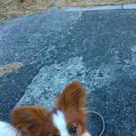 出来るんだ!!!の画像