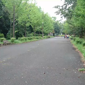 9月21日 100mBグループ⑤の画像