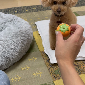 大好き柿さん？の画像