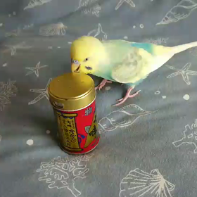 戦いそして食べる！の画像